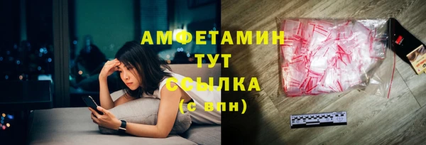 ГАЛЛЮЦИНОГЕННЫЕ ГРИБЫ Аркадак