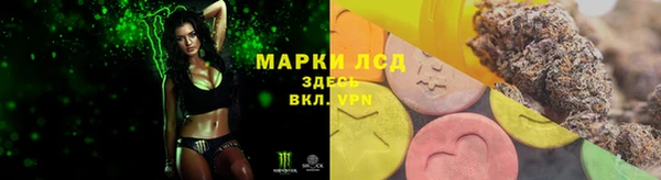 ГАЛЛЮЦИНОГЕННЫЕ ГРИБЫ Аркадак