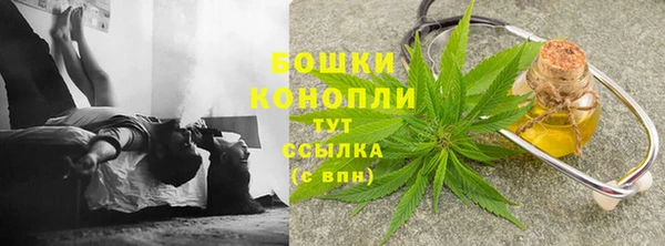 ГАЛЛЮЦИНОГЕННЫЕ ГРИБЫ Аркадак