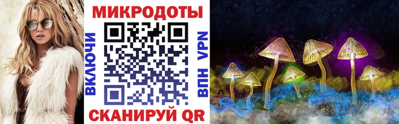 мега как зайти  Строитель  Псилоцибиновые грибы Psilocybine cubensis 