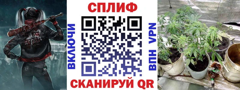 blacksprut маркетплейс  Строитель  Канабис индика 
